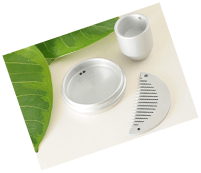 ビソンテラピーとは